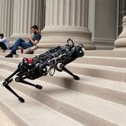 mit-cheetah